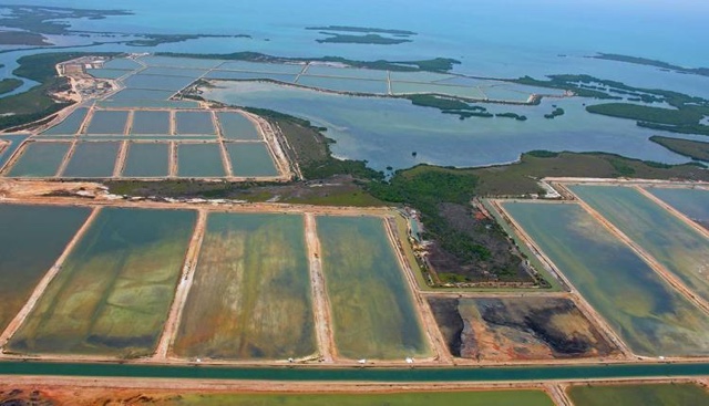 One of the biggest threats to wildlife is the destruction of land to make room for the rapidly expanding fish aquaculture.