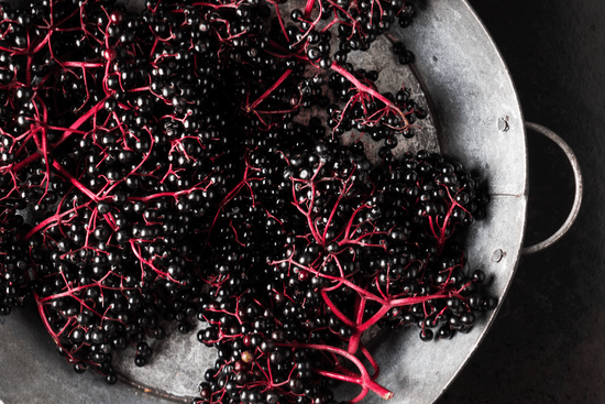 healing superfoods Elderberry fruit in bowl