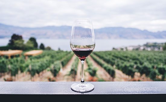 diets that work glass of wine overlooking vineyard