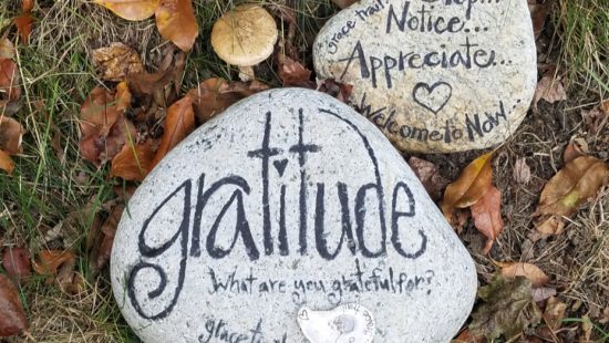 gratitude in life